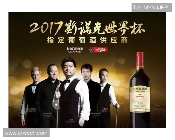 杭州羽毛球队的奋斗与荣耀：从默默无闻到锦标赛的辉煌之路